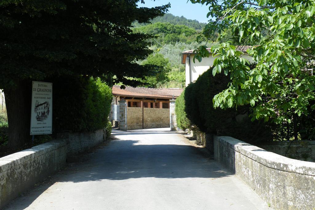 Гостевой дом Agriturismo Fattoria Di Gragnone Экстерьер фото