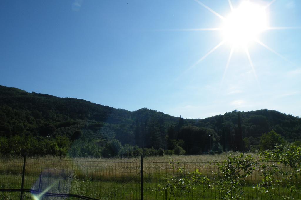 Гостевой дом Agriturismo Fattoria Di Gragnone Экстерьер фото